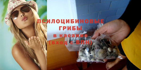 ГАЛЛЮЦИНОГЕННЫЕ ГРИБЫ Баксан