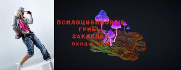 ГАЛЛЮЦИНОГЕННЫЕ ГРИБЫ Баксан