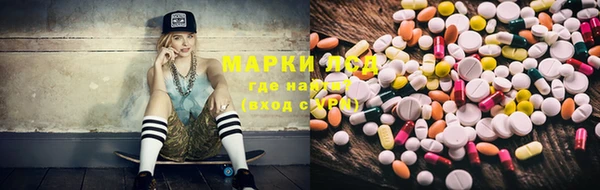 ГАЛЛЮЦИНОГЕННЫЕ ГРИБЫ Баксан